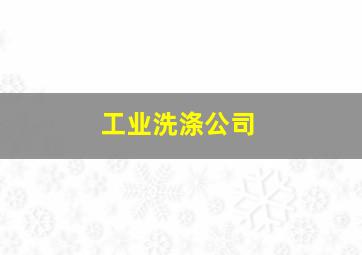 工业洗涤公司