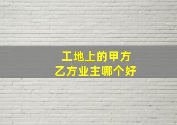 工地上的甲方乙方业主哪个好