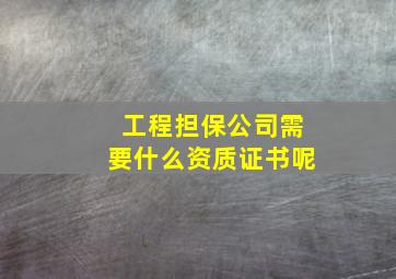 工程担保公司需要什么资质证书呢