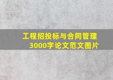 工程招投标与合同管理3000字论文范文图片