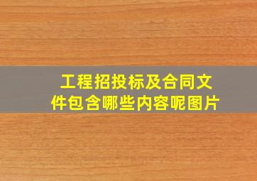 工程招投标及合同文件包含哪些内容呢图片