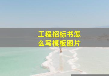 工程招标书怎么写模板图片