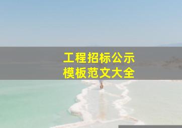 工程招标公示模板范文大全