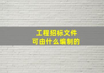 工程招标文件可由什么编制的