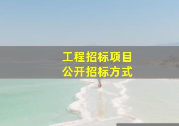 工程招标项目公开招标方式