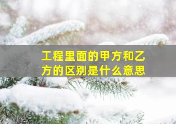 工程里面的甲方和乙方的区别是什么意思