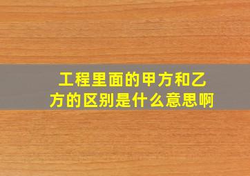 工程里面的甲方和乙方的区别是什么意思啊