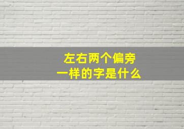 左右两个偏旁一样的字是什么