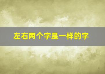 左右两个字是一样的字