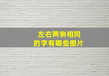 左右两侧相同的字有哪些图片