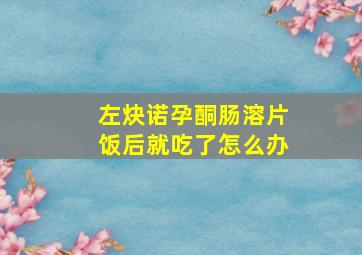 左炔诺孕酮肠溶片饭后就吃了怎么办