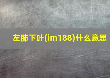 左肺下叶(im188)什么意思