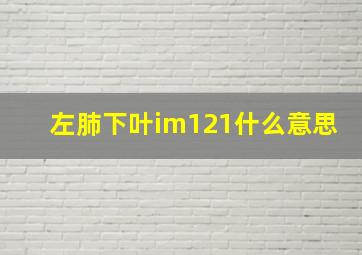 左肺下叶im121什么意思