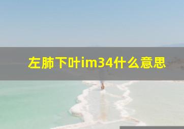 左肺下叶im34什么意思