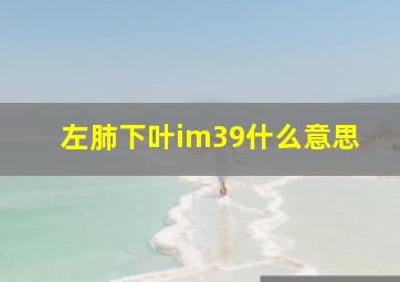 左肺下叶im39什么意思