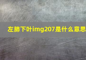 左肺下叶img207是什么意思