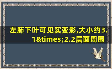 左肺下叶可见实变影,大小约3.1×2.2层面周围可见晕征