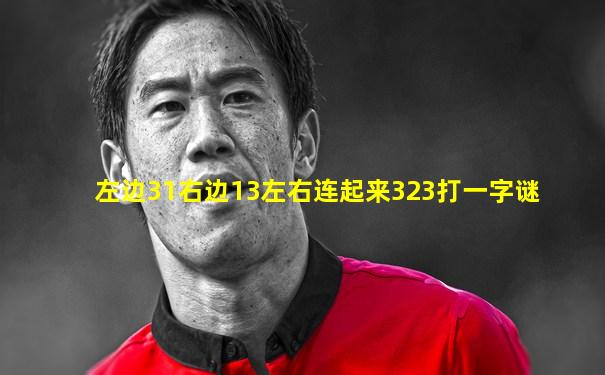 左边31右边13左右连起来323打一字谜