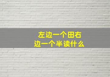 左边一个田右边一个半读什么