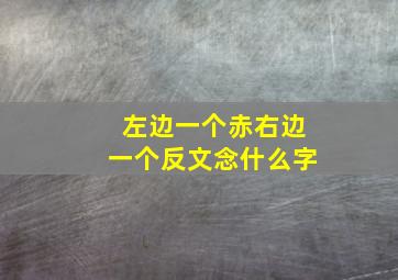 左边一个赤右边一个反文念什么字