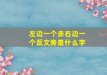 左边一个赤右边一个反文旁是什么字