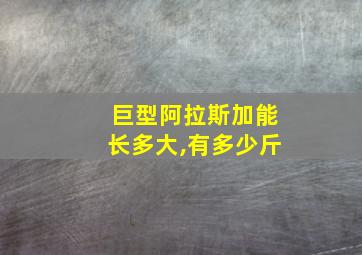 巨型阿拉斯加能长多大,有多少斤