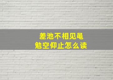 差池不相见黾勉空仰止怎么读