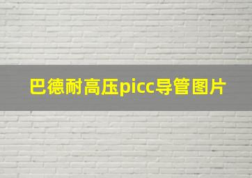 巴德耐高压picc导管图片