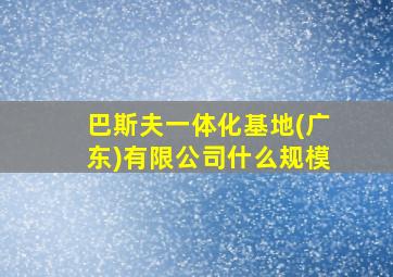 巴斯夫一体化基地(广东)有限公司什么规模