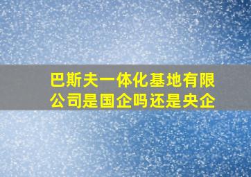 巴斯夫一体化基地有限公司是国企吗还是央企