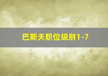 巴斯夫职位级别1-7