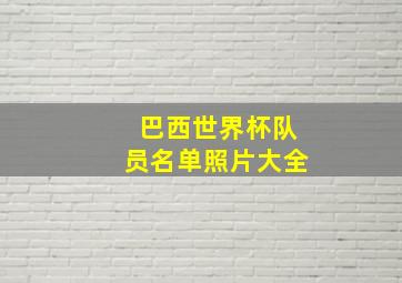 巴西世界杯队员名单照片大全