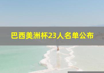 巴西美洲杯23人名单公布