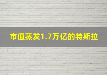 市值蒸发1.7万亿的特斯拉