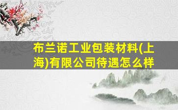 布兰诺工业包装材料(上海)有限公司待遇怎么样