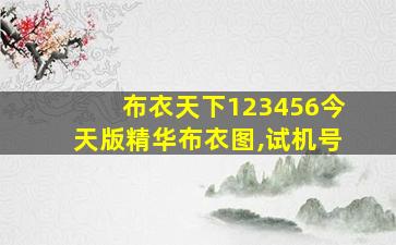 布衣天下123456今天版精华布衣图,试机号