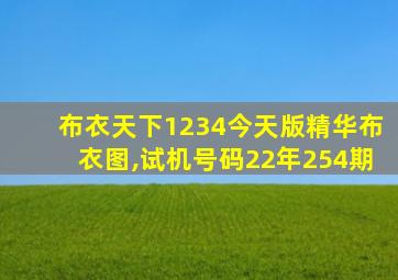 布衣天下1234今天版精华布衣图,试机号码22年254期