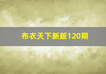 布衣天下新版120期