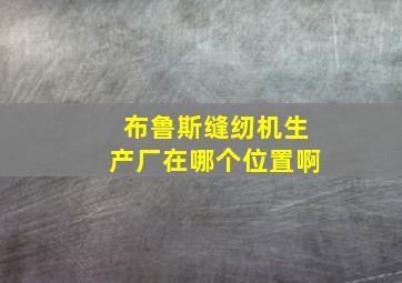 布鲁斯缝纫机生产厂在哪个位置啊