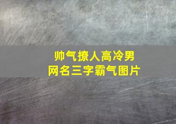 帅气撩人高冷男网名三字霸气图片