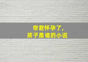 帝君怀孕了,孩子是谁的小说