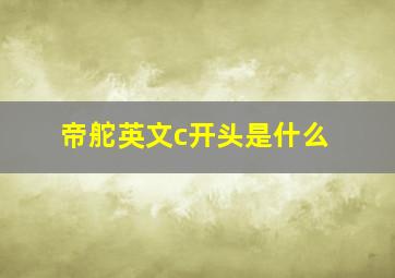 帝舵英文c开头是什么