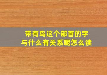 带有鸟这个部首的字与什么有关系呢怎么读