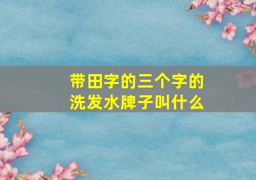 带田字的三个字的洗发水牌子叫什么