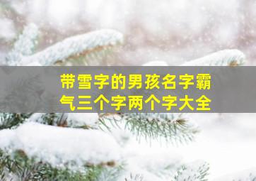 带雪字的男孩名字霸气三个字两个字大全