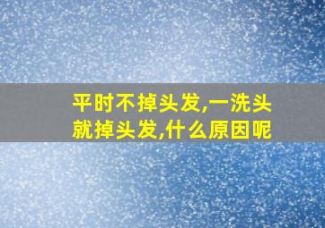 平时不掉头发,一洗头就掉头发,什么原因呢