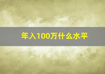 年入100万什么水平