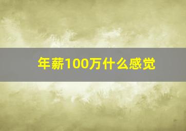 年薪100万什么感觉