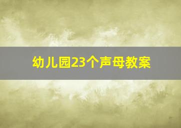 幼儿园23个声母教案