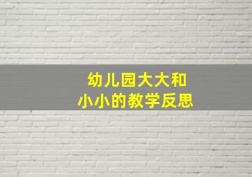 幼儿园大大和小小的教学反思